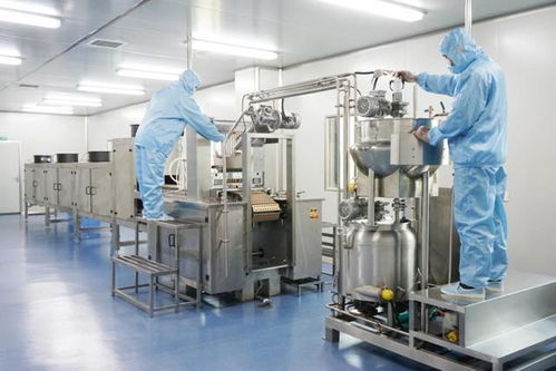 从传统饮品到跨界创新 松阳茶叶的n种玩法